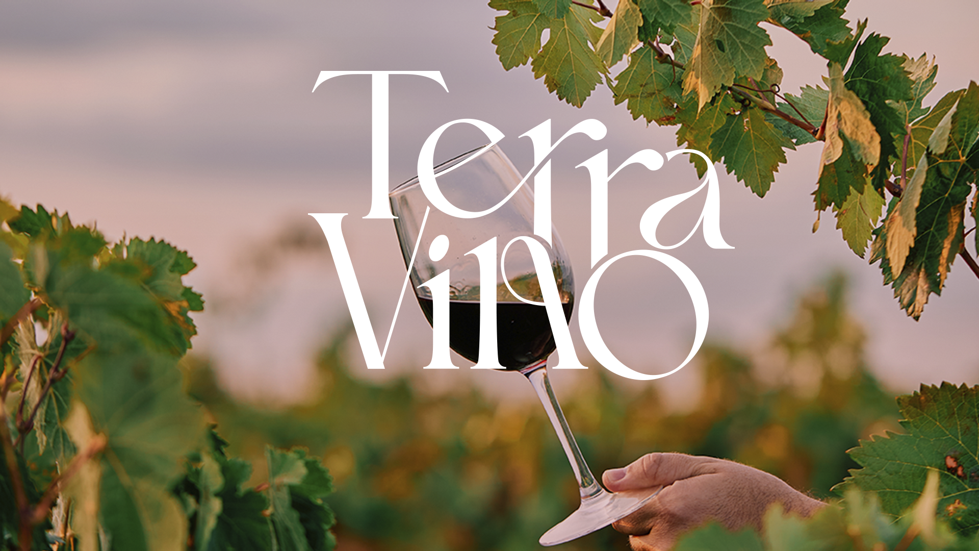 Terra Vino Generic